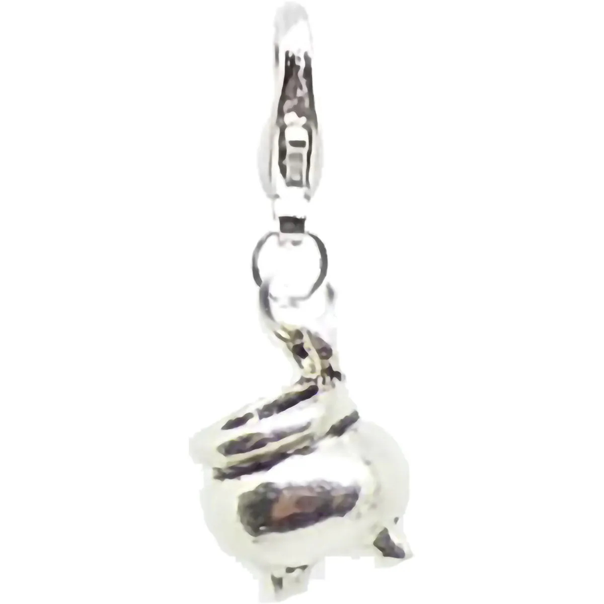 Halloween Pagan Wicca Wiccan Witch Cauldron Silver Bracelet Size Charm Clip with Silver Plated Metal Lobster Clasp Charms