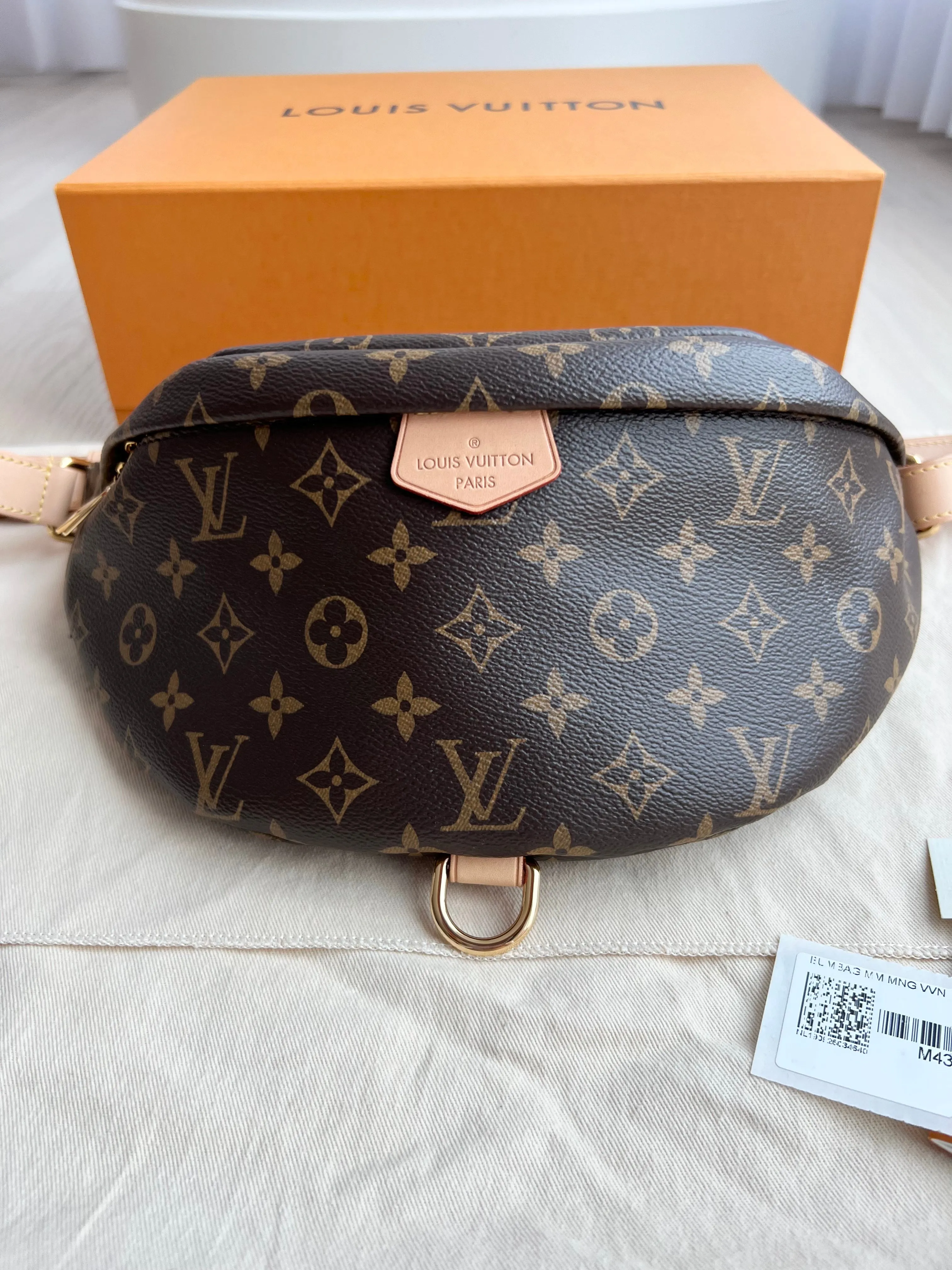 Louis Vuitton Bum Bag