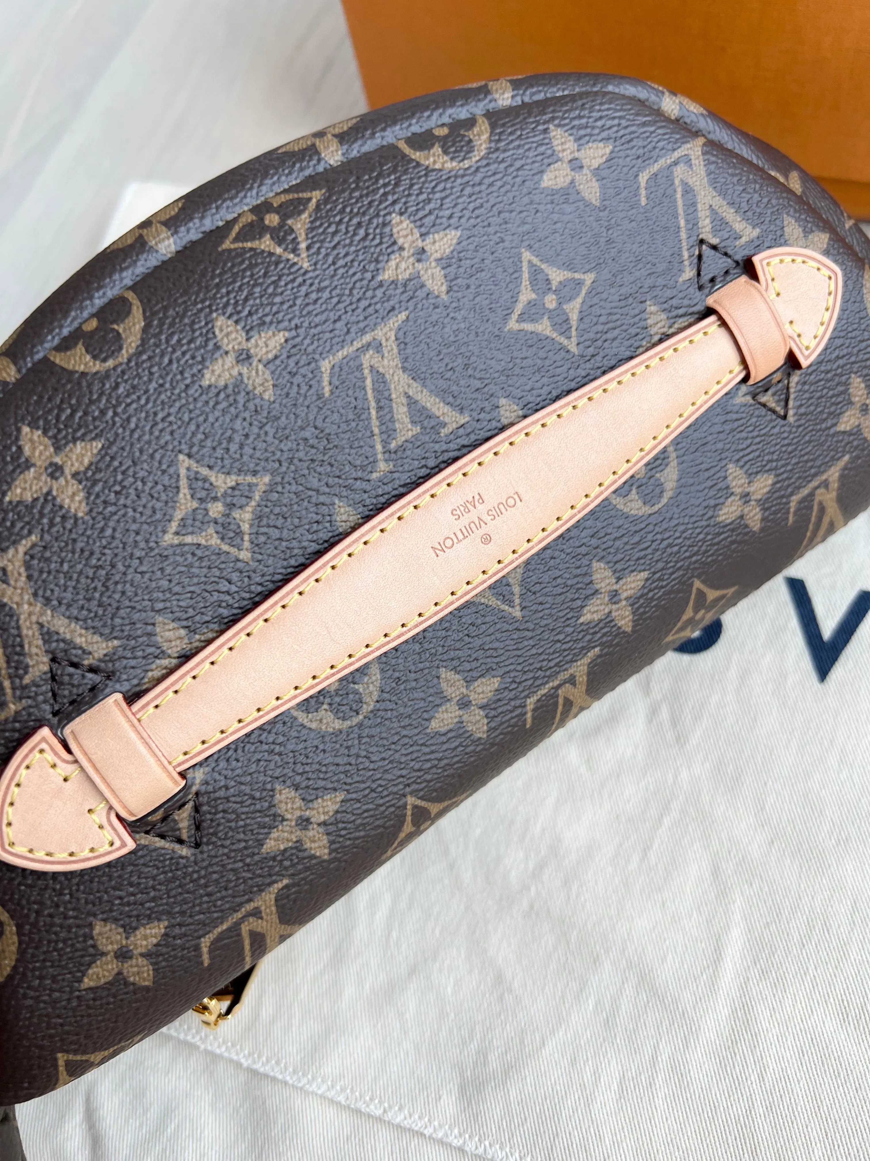 Louis Vuitton Bum Bag