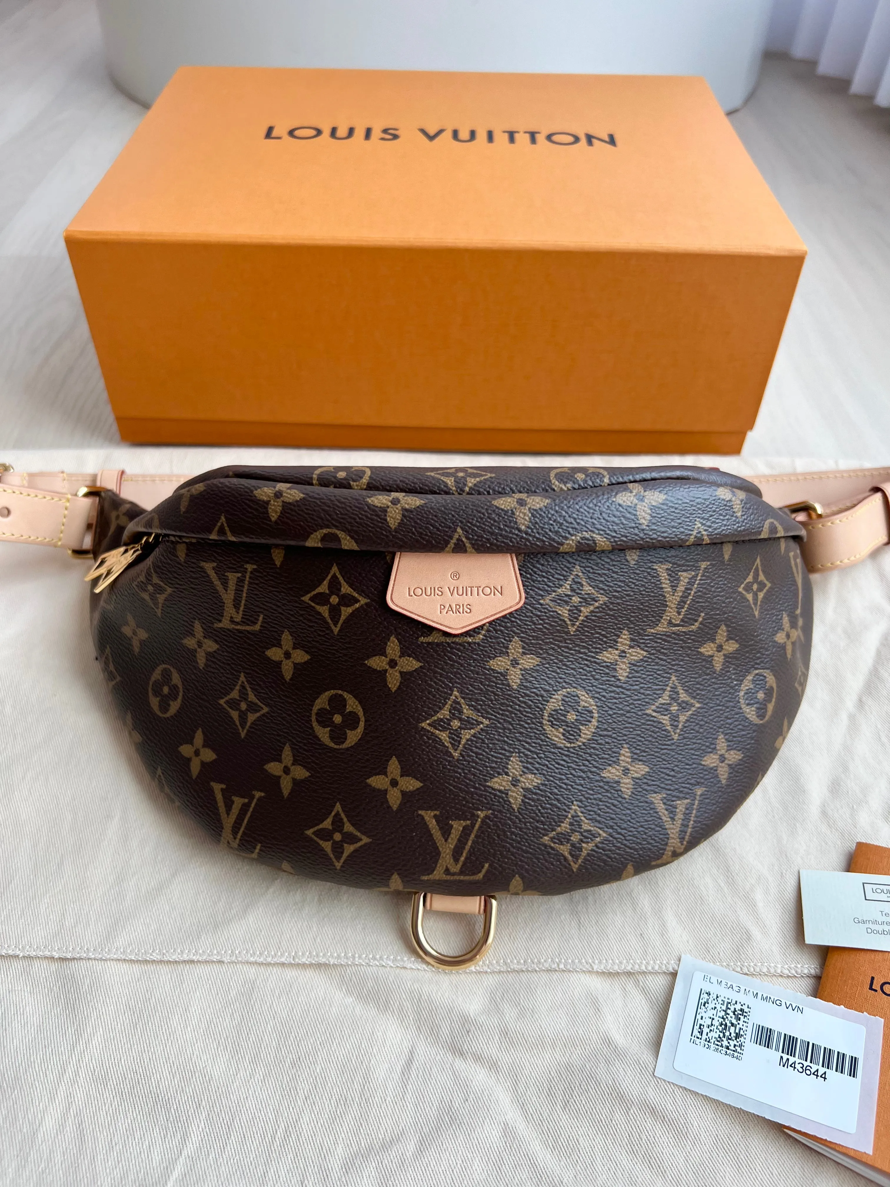 Louis Vuitton Bum Bag