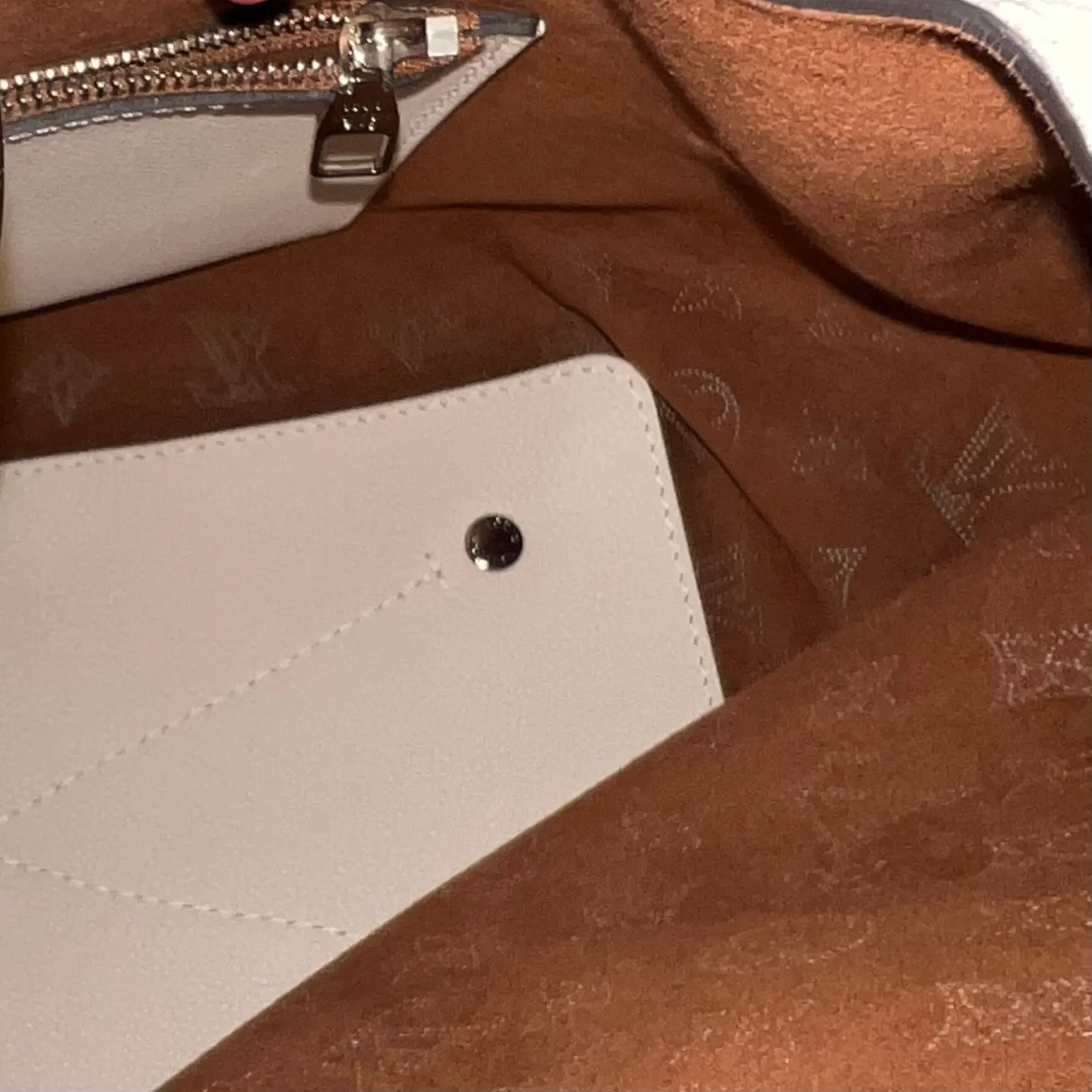 Louis Vuitton Carmel Bag