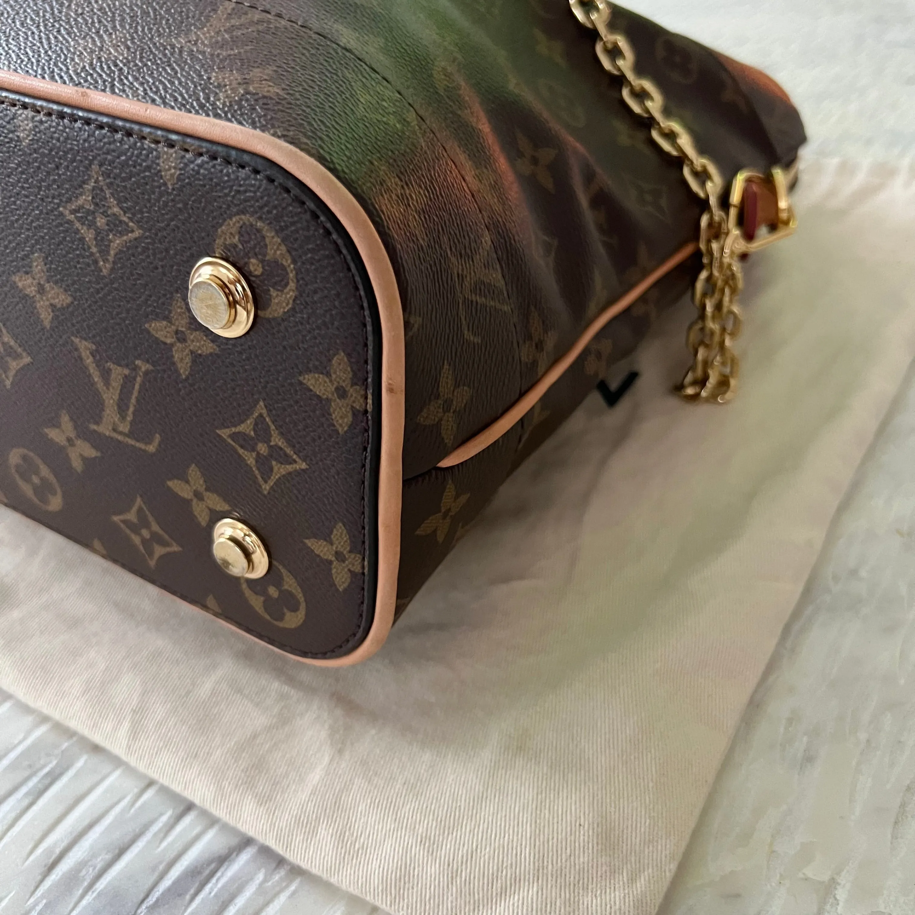 Louis Vuitton Carry All Bag