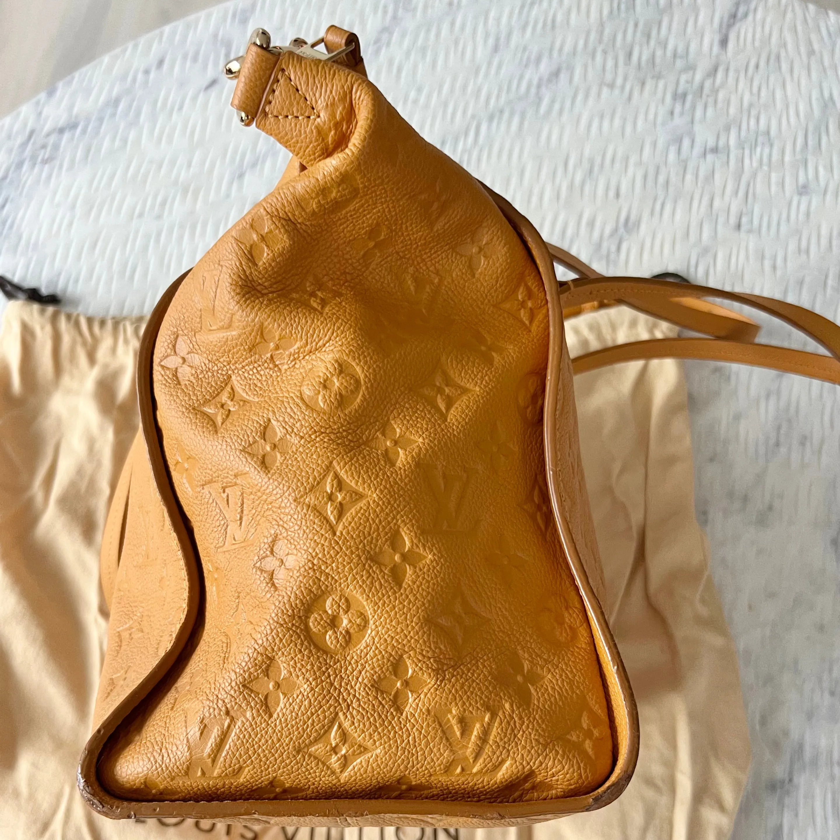 Louis Vuitton Lumineuse Bag