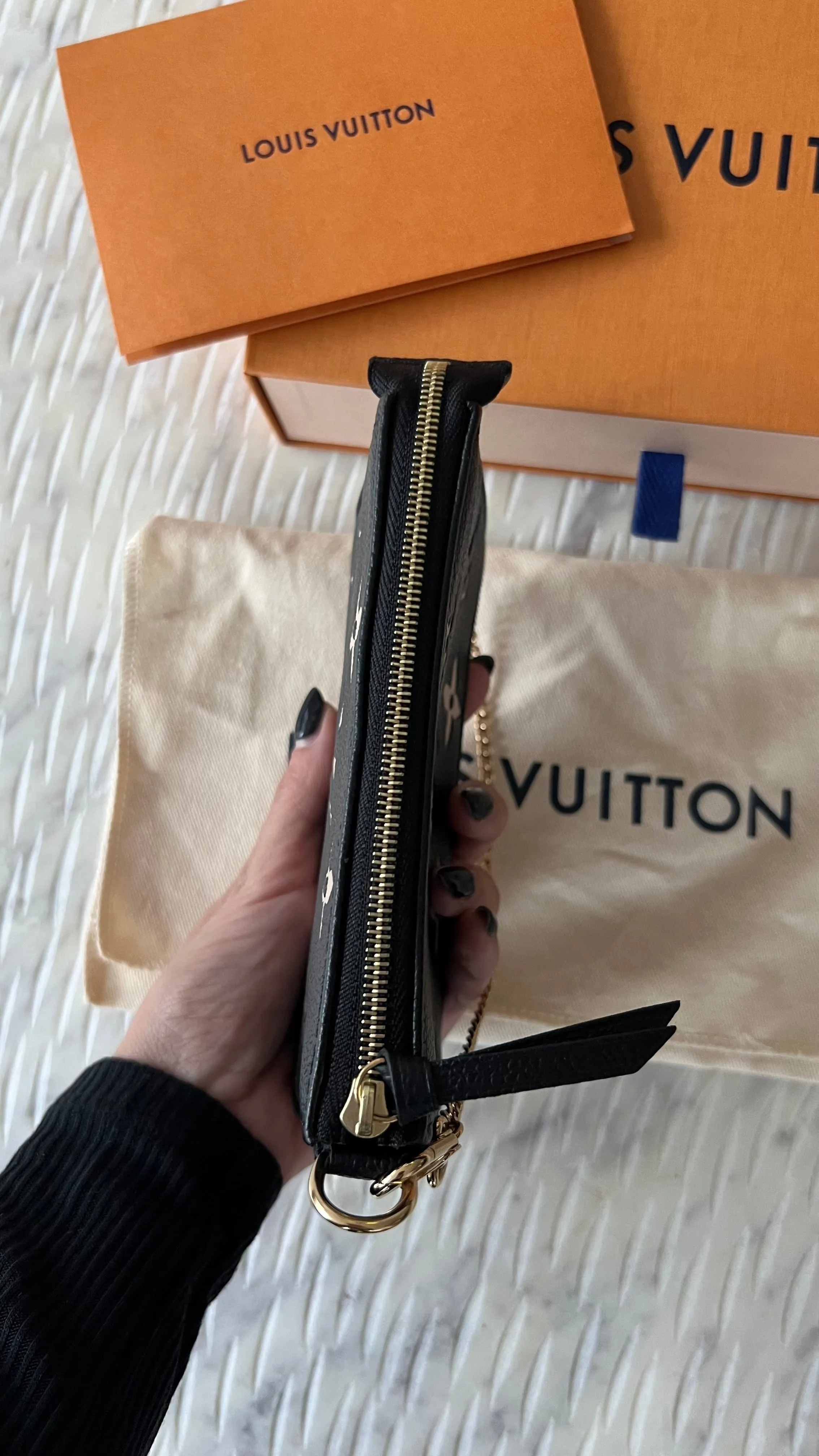 Louis Vuitton Mini Pochette Accessories Bag