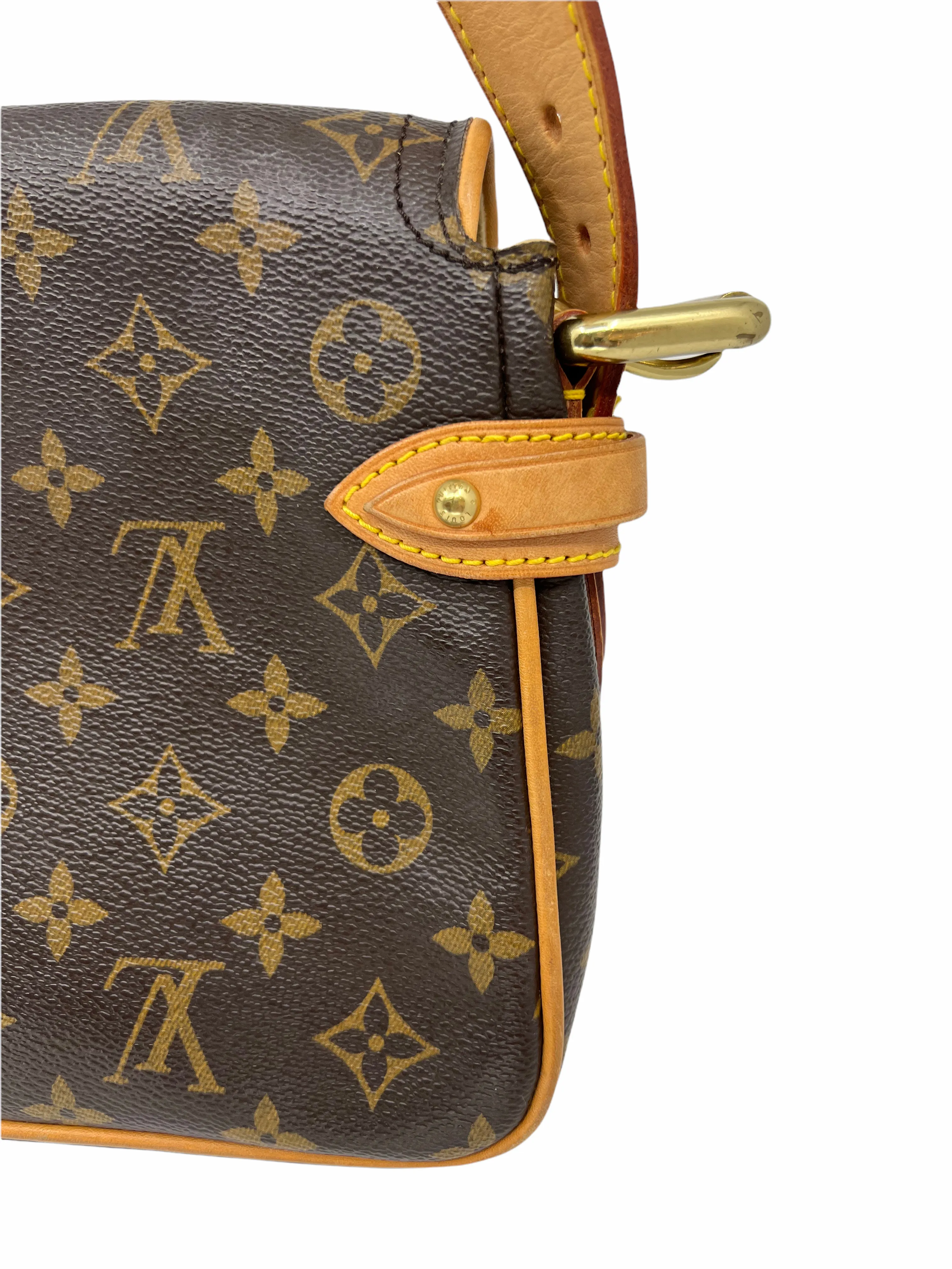 Louis Vuitton Monogram Hudson PM Bag