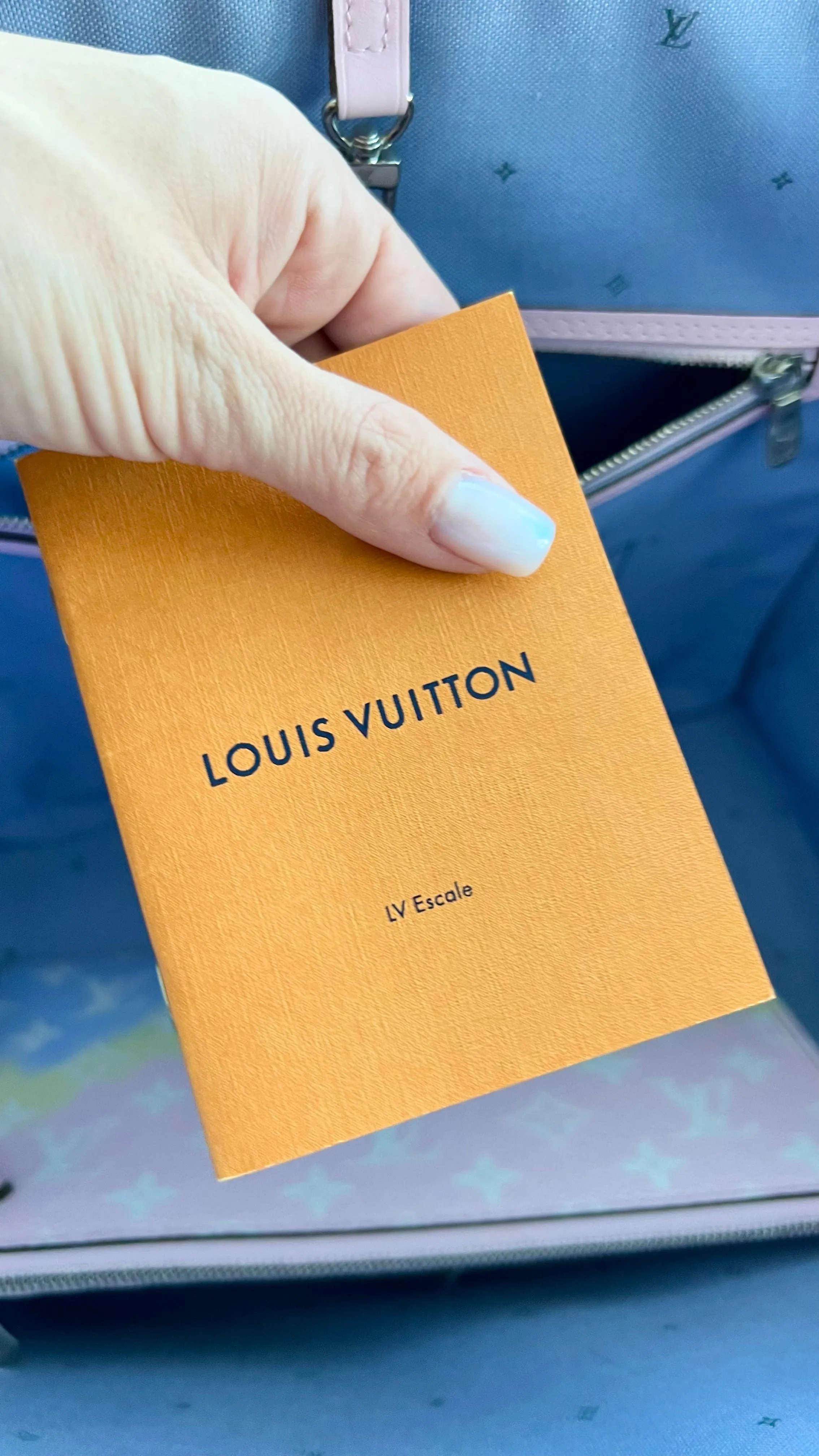 Louis Vuitton Neverfull Bag