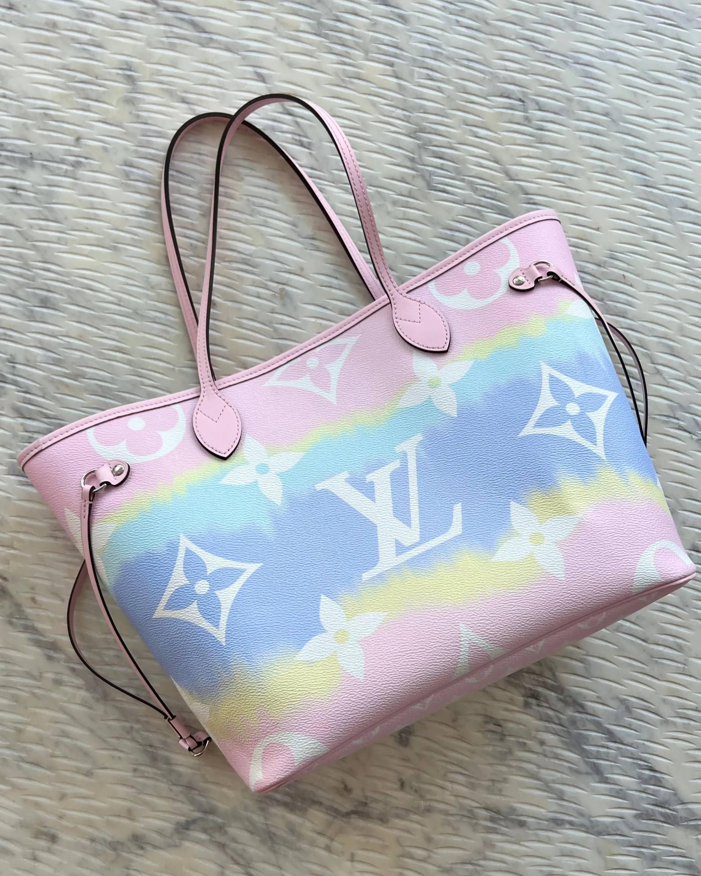 Louis Vuitton Neverfull Bag