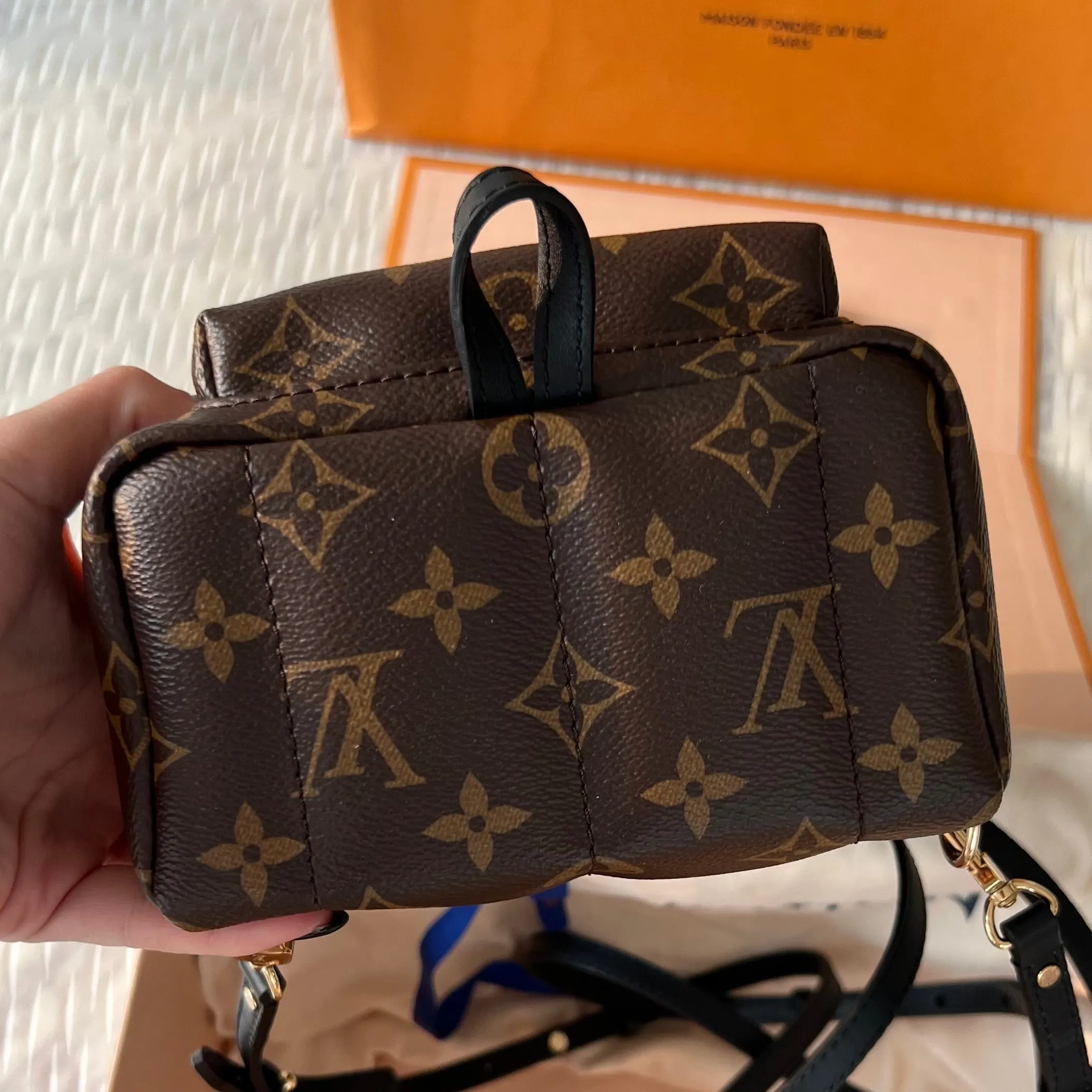 Louis Vuitton Palm Springs Mini Bag