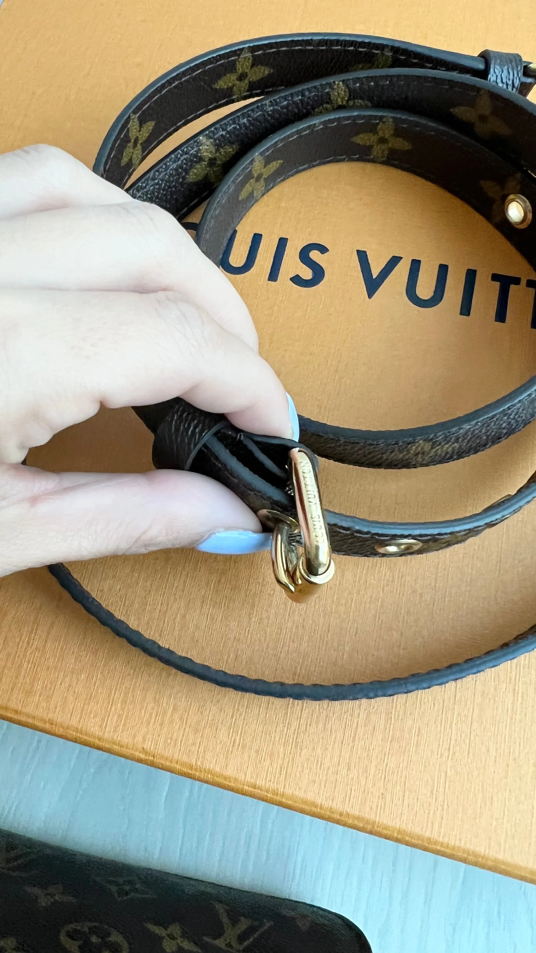 Louis Vuitton Pochette Metis Bag