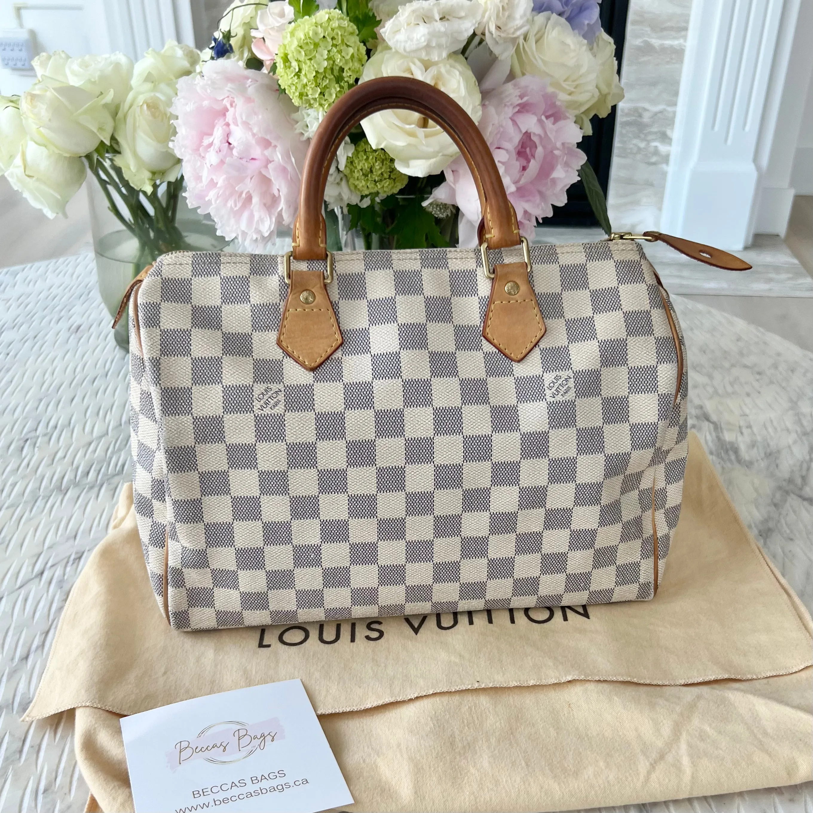 Louis Vuitton Speedy Bag