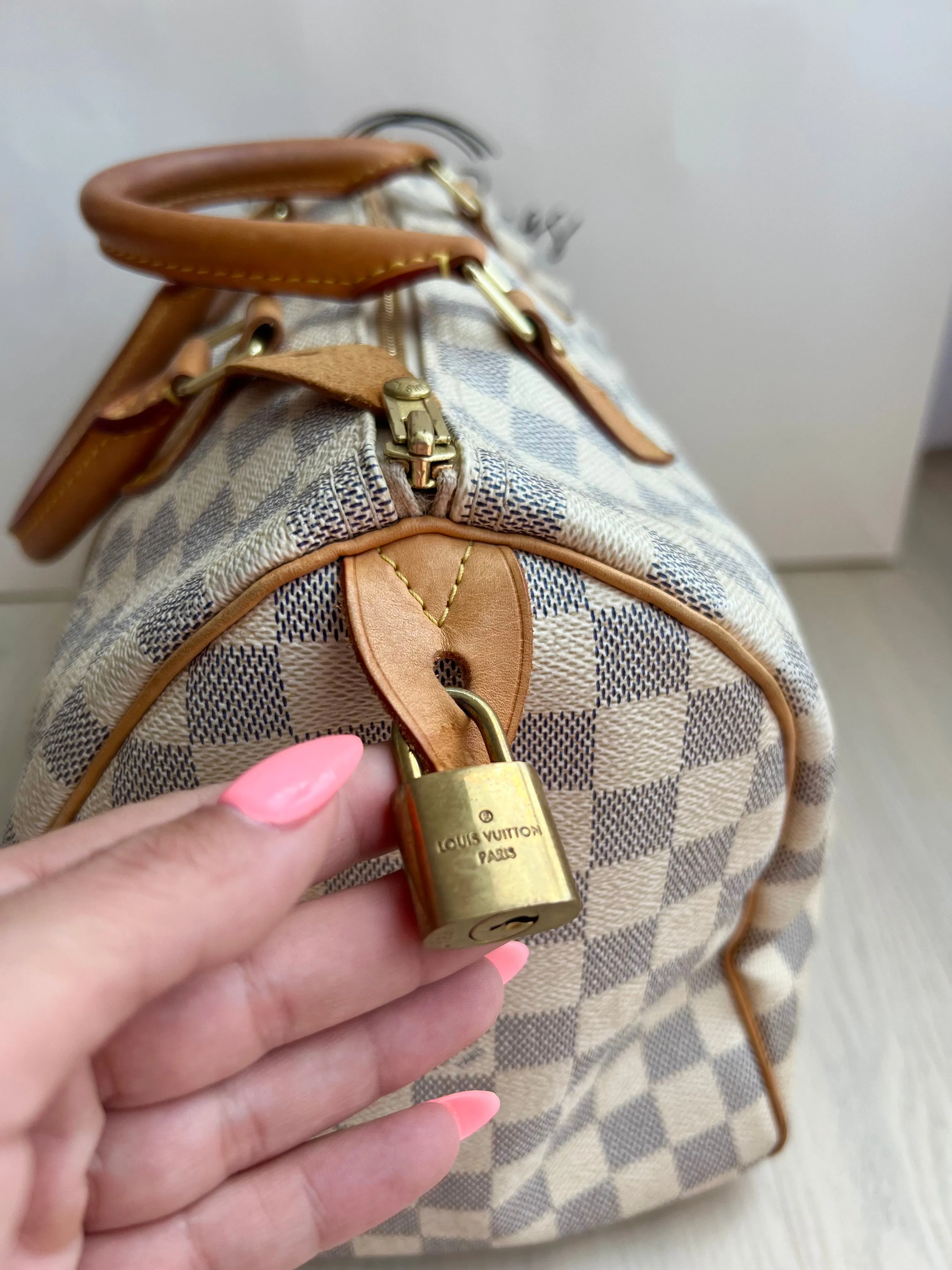 Louis Vuitton Speedy Bag