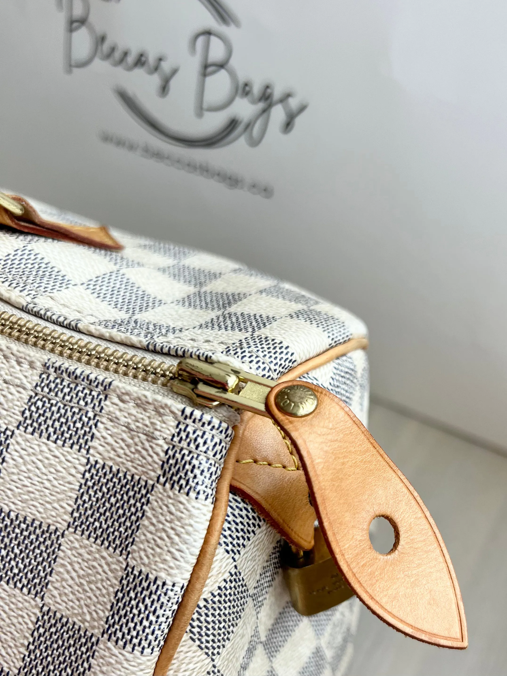 Louis Vuitton Speedy Bag