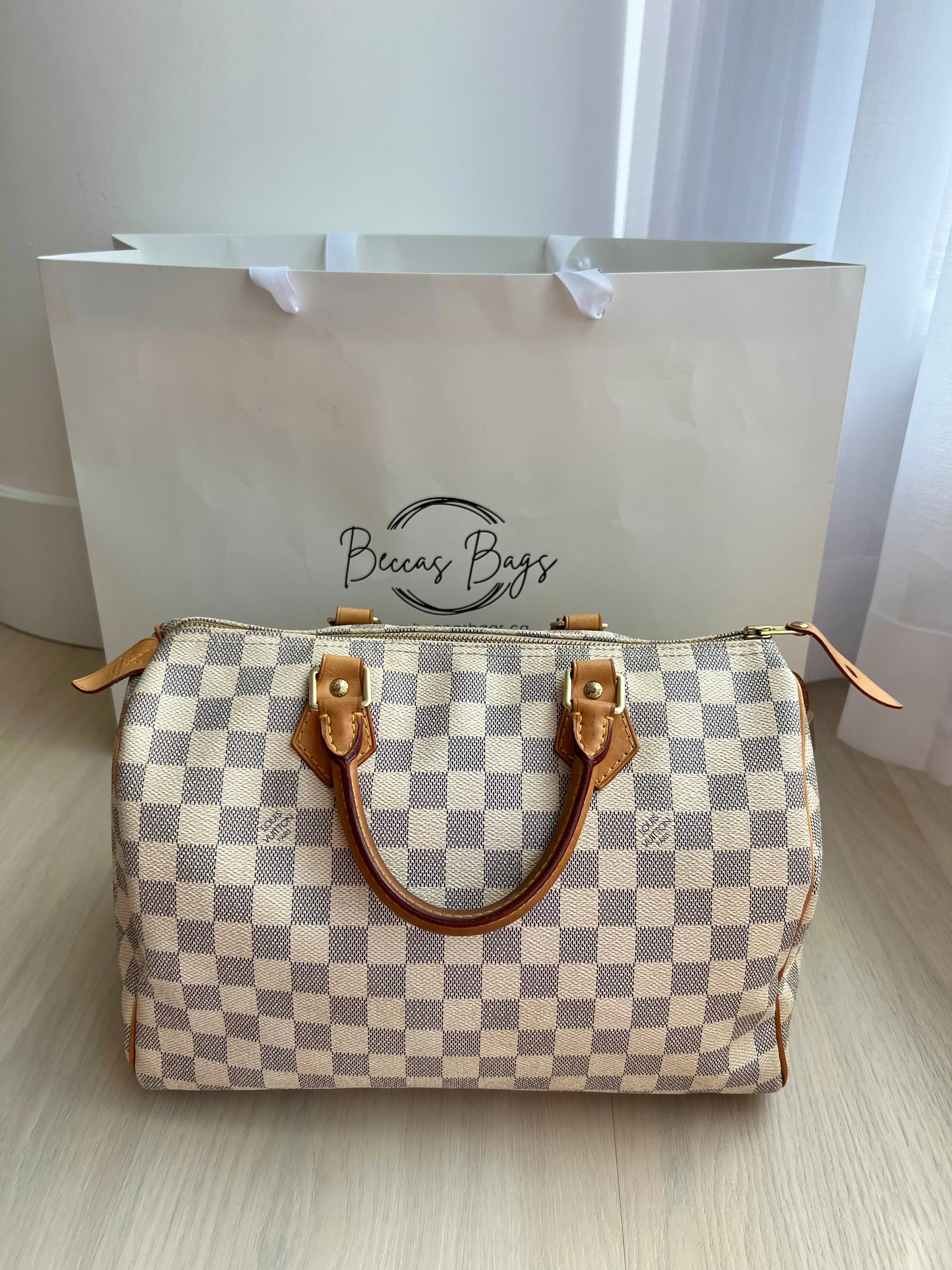 Louis Vuitton Speedy Bag