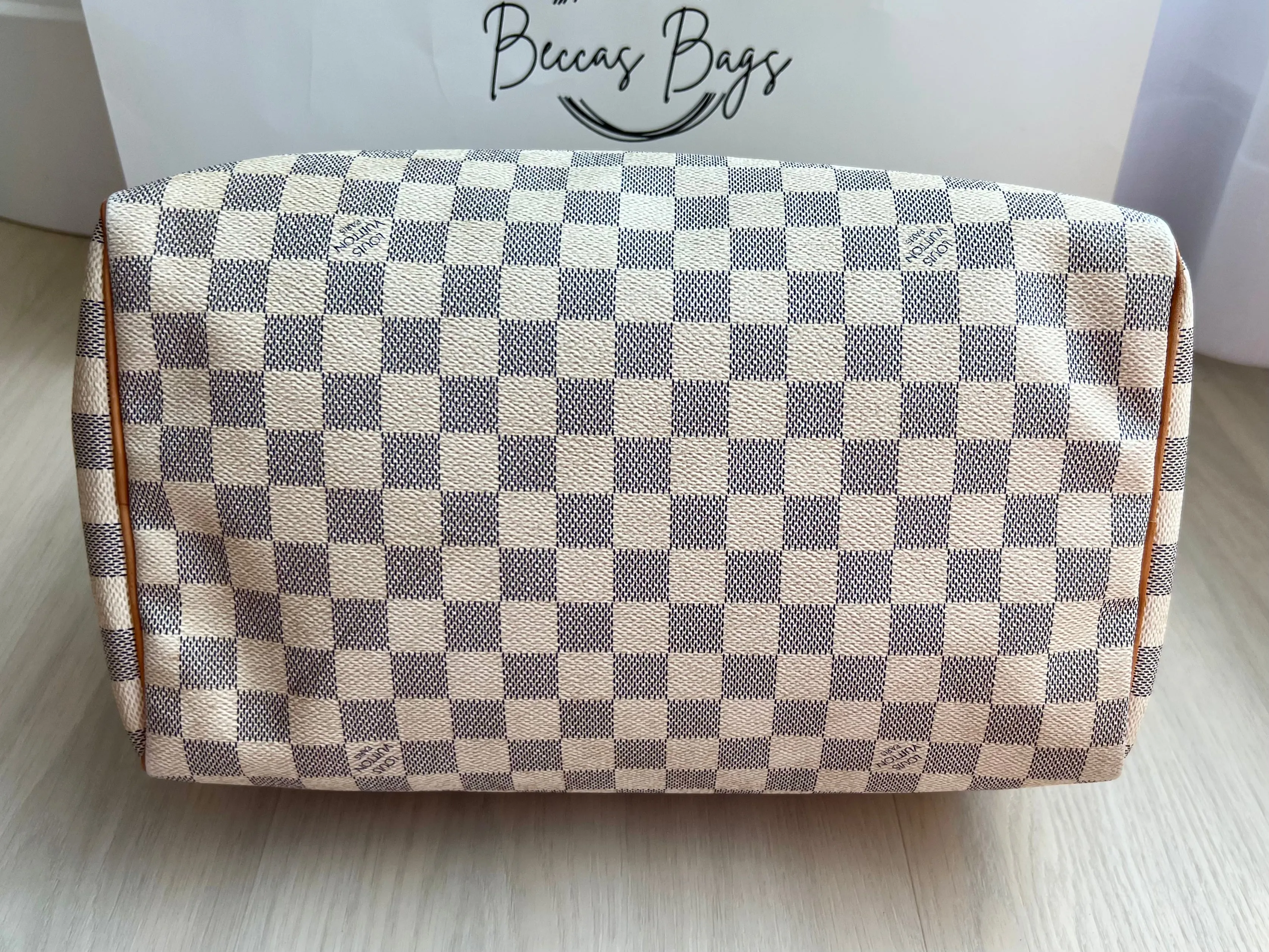 Louis Vuitton Speedy Bag