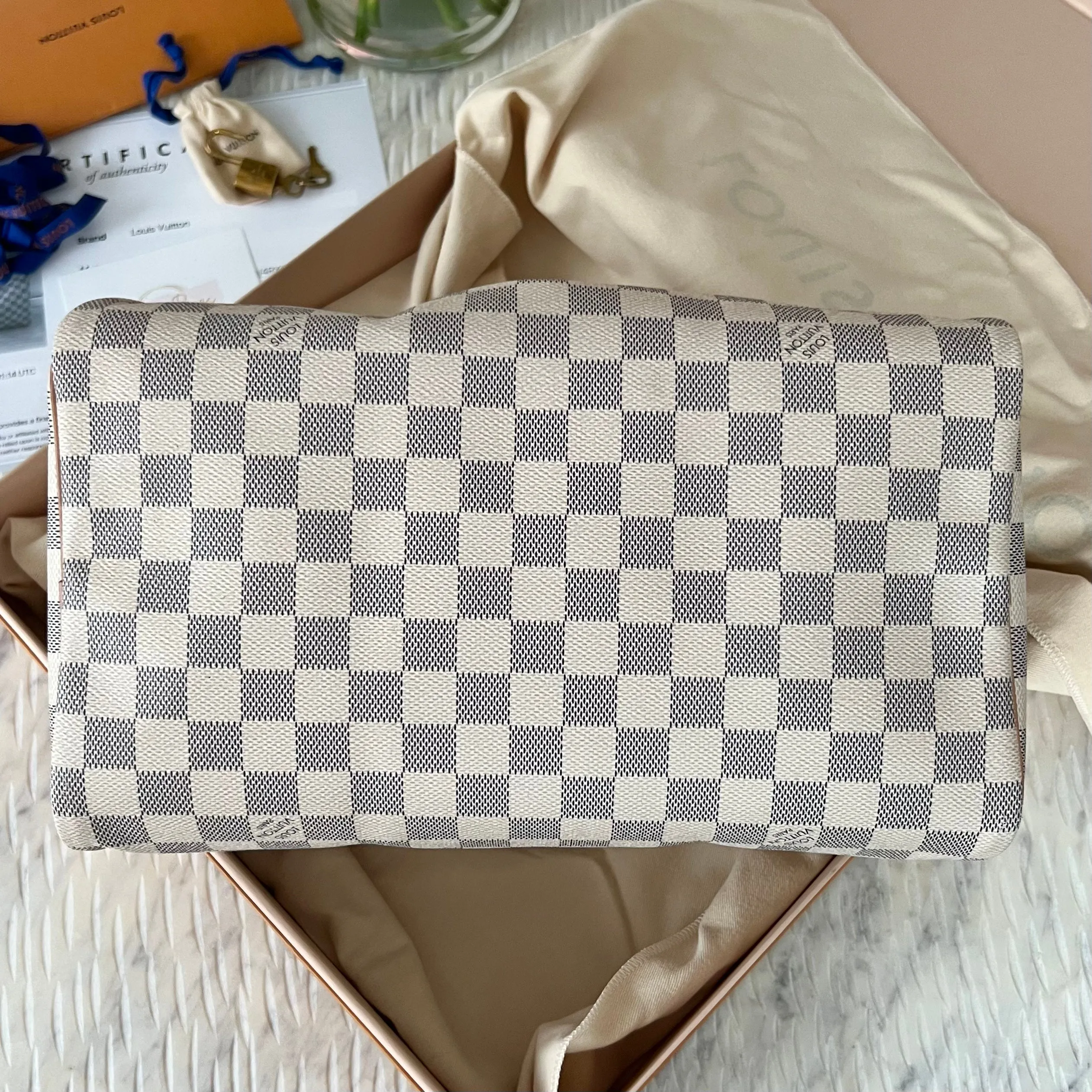 Louis Vuitton Speedy Bag