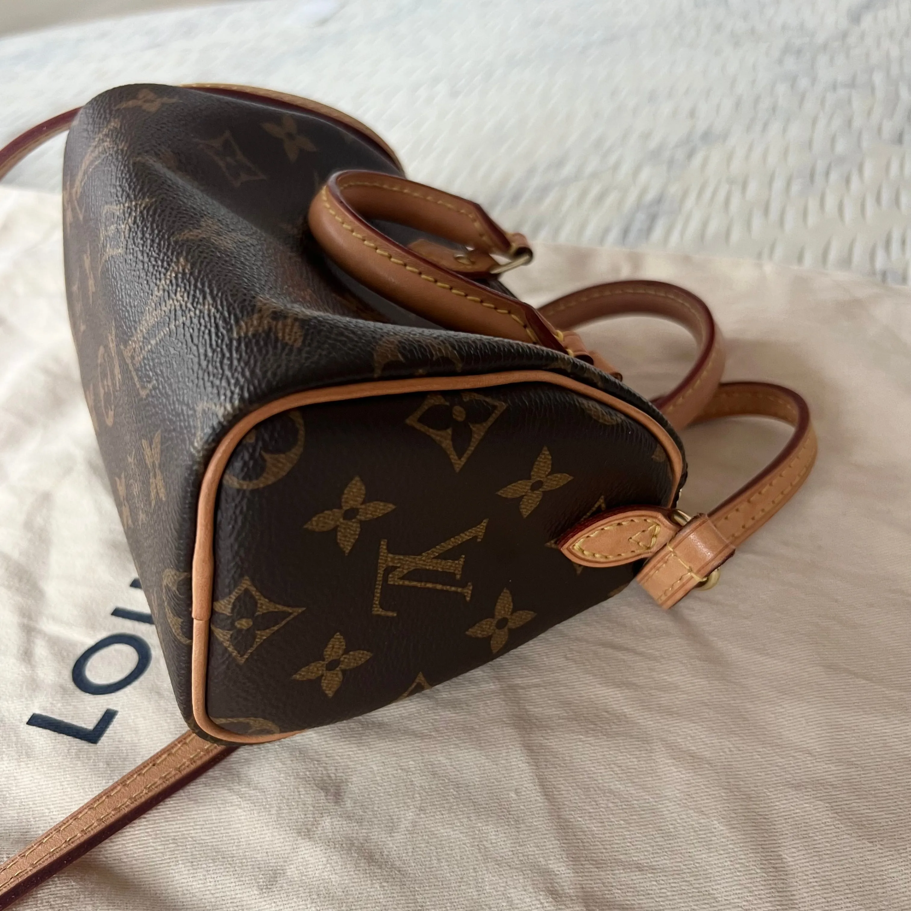 Louis Vuitton Speedy Nano Bag