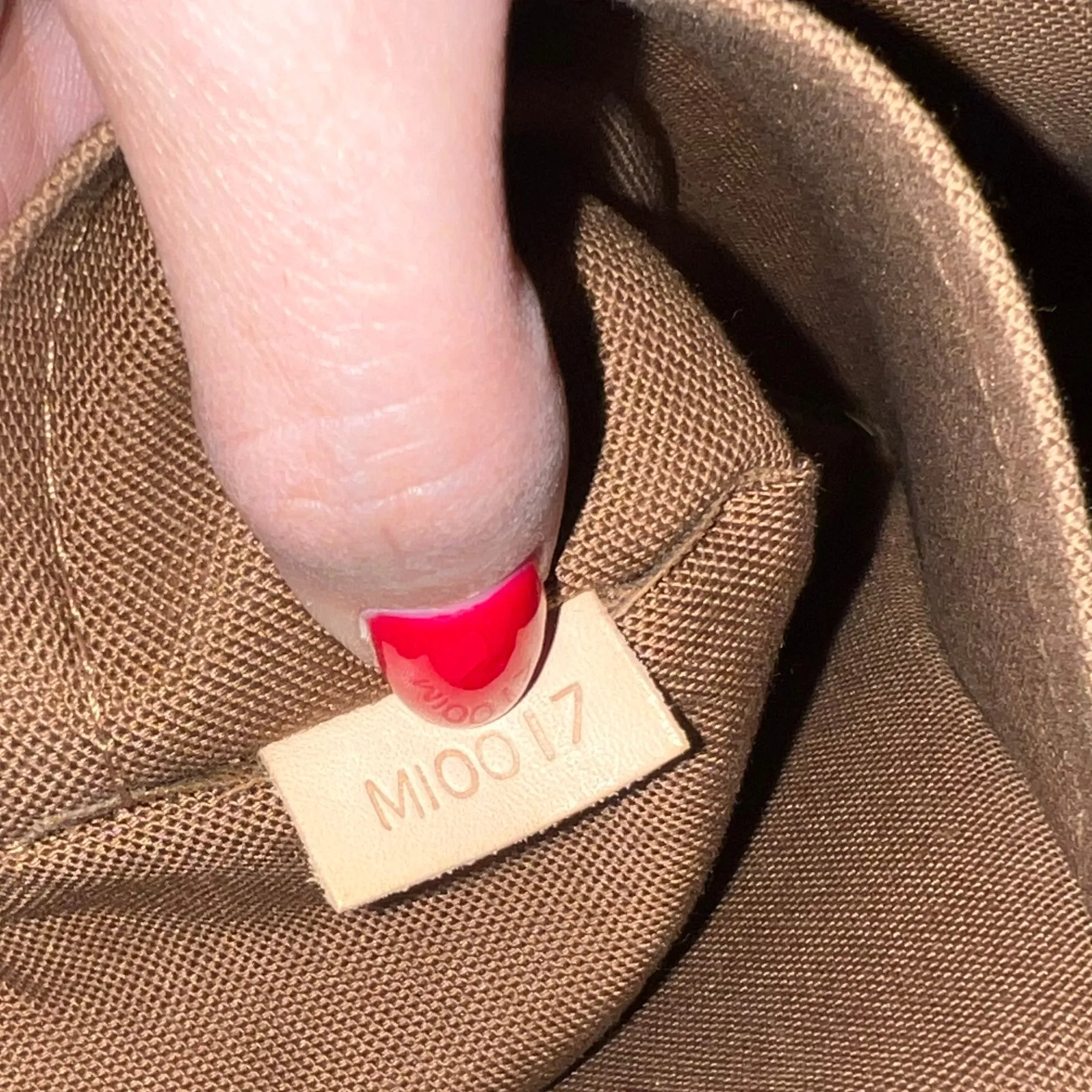 Louis Vuitton Tikal Bag